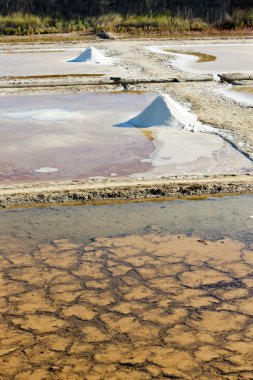 Saline, bağlantı noktası des salines, oleron Adası, poitou-charentes, Frangı