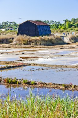 Saline, bağlantı noktası des salines, oleron Adası, poitou-charentes, Frangı