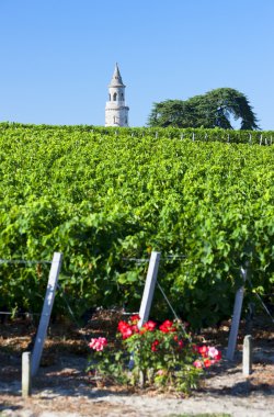 Chateau de la tour, tarafından bordeaux bölgesi, Fransa