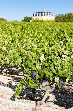 Chateau de la tour, tarafından bordeaux bölgesi, Fransa