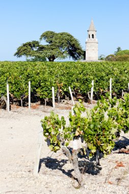 Chateau de la tour, tarafından bordeaux bölgesi, Fransa