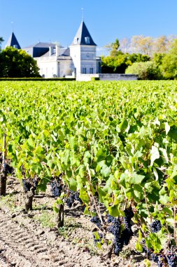 Vineyard and Chateau Tronquoy Lalande, Saint-Estephe, Bordeaux R clipart