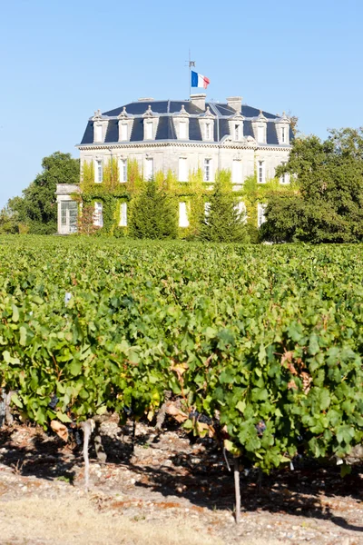 Chateau de la Tour, By, Bordeaux Region, Frankrig - Stock-foto