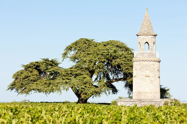 Chateau de la tour door, bordeaux regio, Frankrijk — Stockfoto