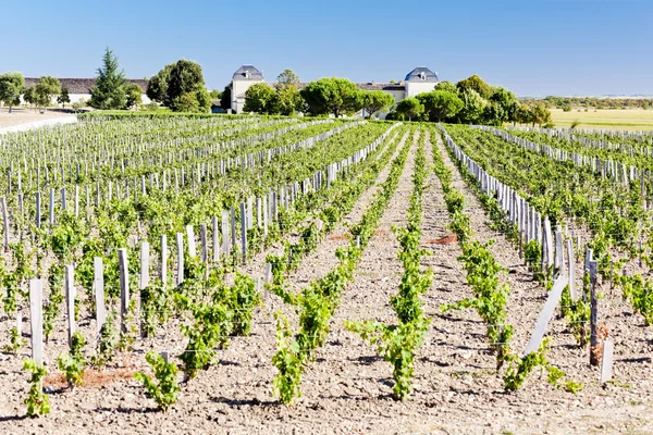 Vineyard and Chateau Calon-Segur, Saint-Estephe, Bordeaux Region — Stock Photo, Image