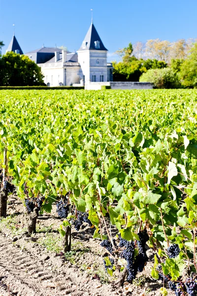 Vineyard and Chateau Tronquoy Lalande, Saint-Estephe, Bordeaux R — Stock Photo, Image