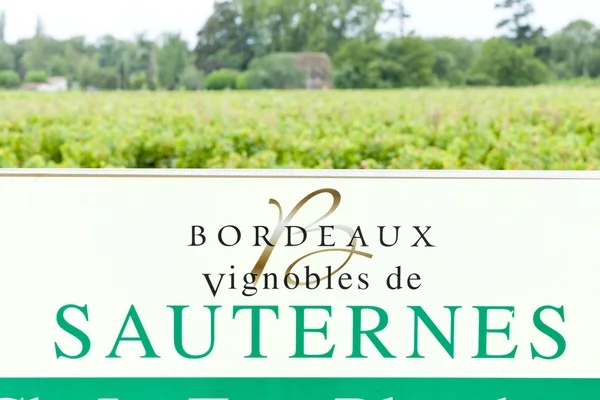 Sauternes region, aquitaine, Frankrike — Stockfoto
