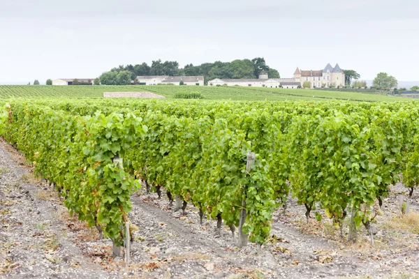 Vigneto e Chateau d'Yquem, regione di Sauternes, Francia — Foto Stock