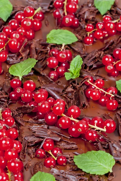 Rote Johannisbeere und Minze mit Schokolade — Stockfoto