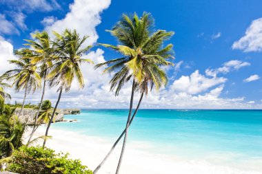 Bottom Bay, Barbados, Karayipler