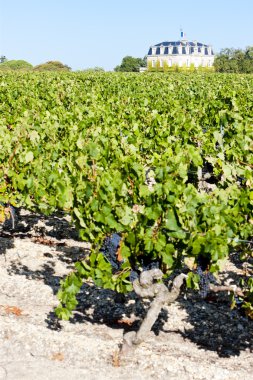 Chateau de la tour, tarafından bordeaux bölgesi, Fransa