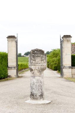 Chateau d'Yquem, Sauternes Region, France clipart