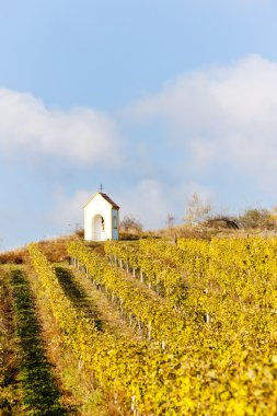 Vineyard Güz yakınındaki hnanice, Çek Cumhuriyeti