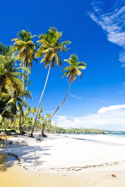 Cumaná baía, trinidad — Fotografia de Stock