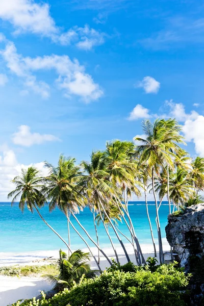 Bottom Bay, Barbados, Caribe — Foto de Stock