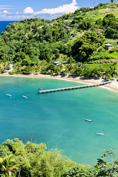 Parlatuvier Bay, Tobago — Stockfoto