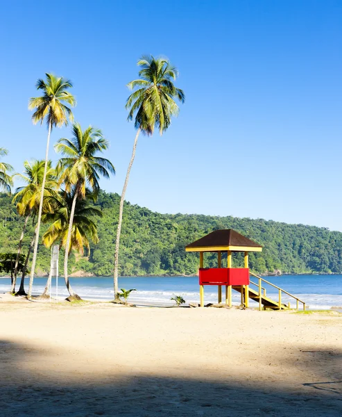 Kabiny na plaży, marakasy bay, trinidad — Zdjęcie stockowe