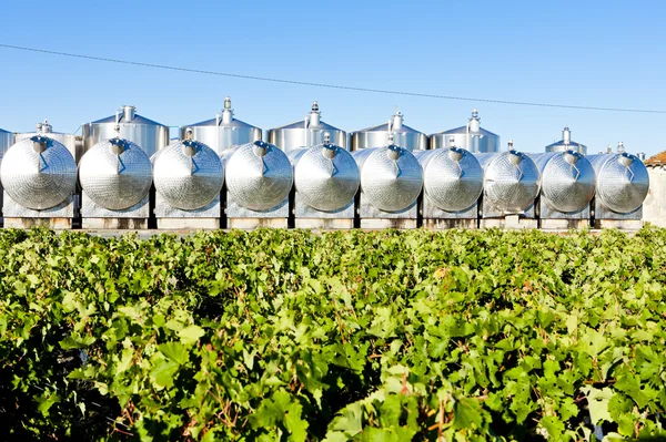 stock image Fermentation tanks, Begadan, Bordeaux Region, France