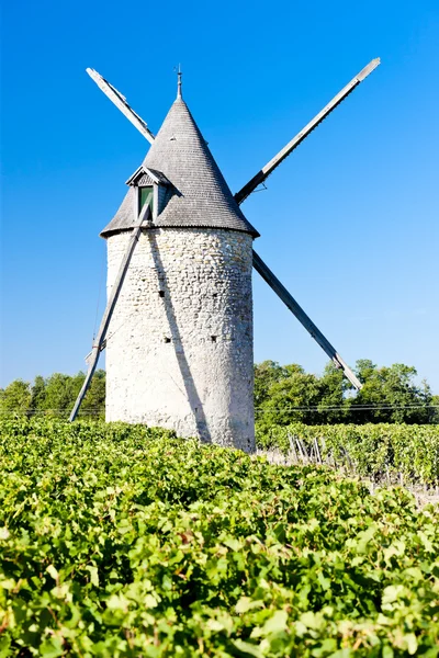 Molino de viento con viñedo cerca de Blaignan, Región de Burdeos, Francia —  Fotos de Stock