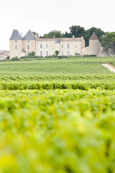 Viñedo y castillo de Yquem, Región de Sauternes, Francia — Foto de Stock