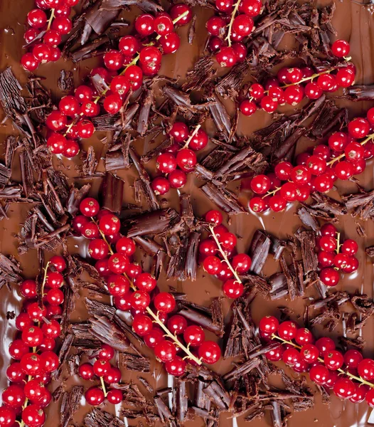 Röda vinbär med choklad — Stockfoto