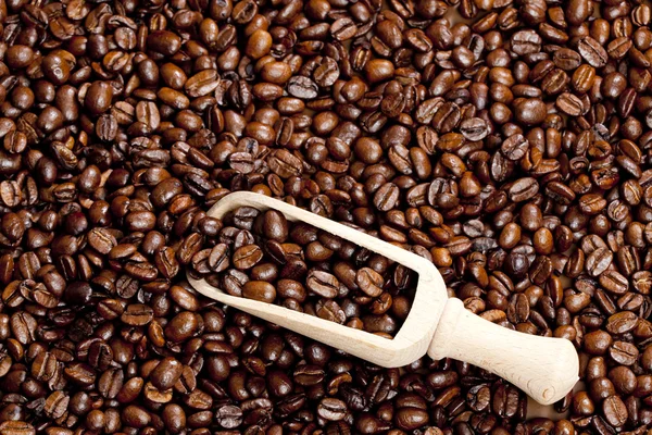 Ainda vida de grãos de café — Fotografia de Stock