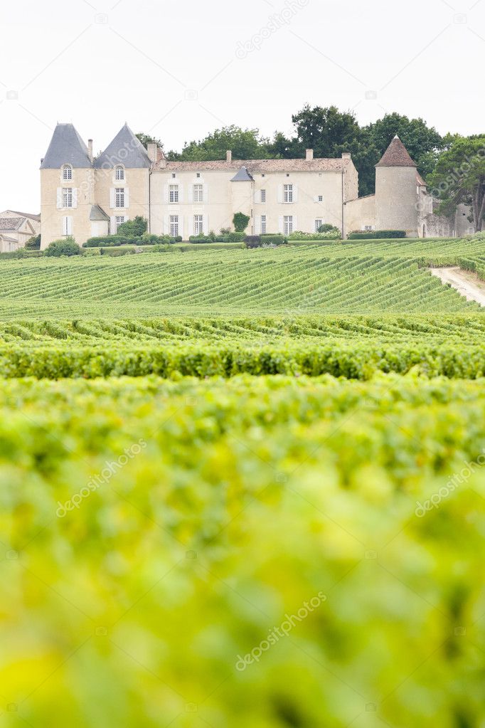 Vineyard and Chateau d'Yquem, Sauternes Region, France
