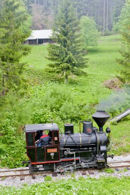 Steam locomotive, Museum of Kysuce village, Vychylovka, Slovakia clipart