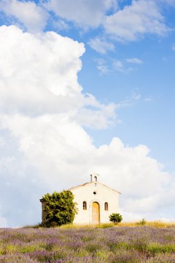 Chapel with lavender field, Plateau de Valensole, Provence, Fran clipart