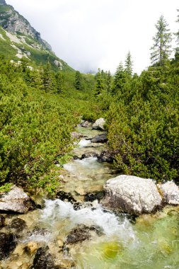 Vysoke Tatry (yüksek Tatras), Slovakya