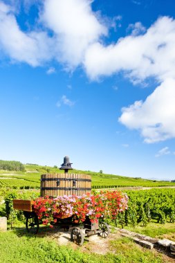 Vineyards of Cote de Beaune near Pommard, Burgundy, France clipart