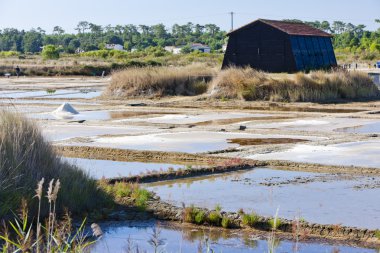 Saline, bağlantı noktası des salines, oleron Adası, poitou-charentes, Frangı