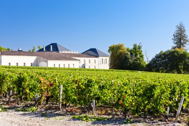Vineyard and Chateau Phelan-Segur, Saint-Estephe, Bordeaux Regio clipart
