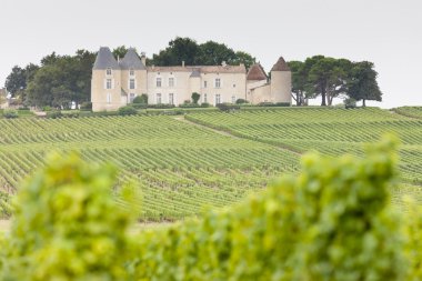 Vineyard and Chateau d'Yquem, Sauternes Region, France clipart