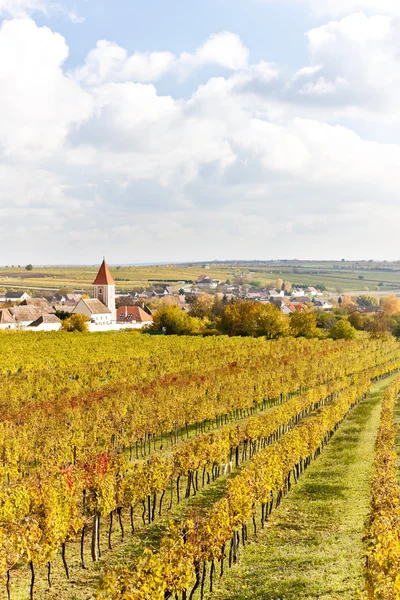 Höstlig vingårdar i retz regionen, Niederösterreich, Österrike — Stockfoto