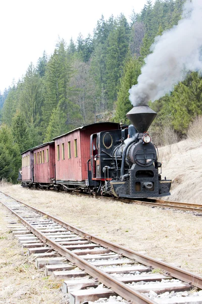 Tren de vapor, ferrocarril de Ciernohronska, Eslovaquia — Foto de Stock