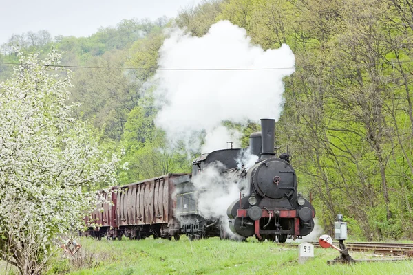 Train de marchandises à vapeur (126.014), Resavica, Serbie — Photo