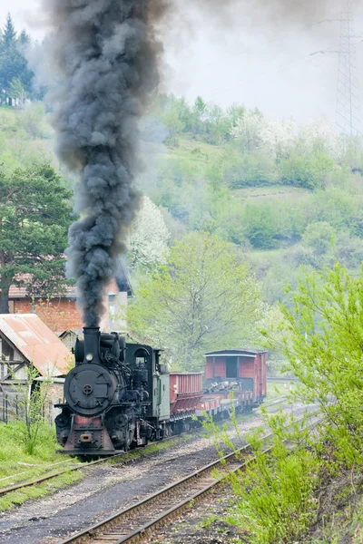 Smalspårig järnväg, banovici, Bosnien och hercegovina — Stockfoto