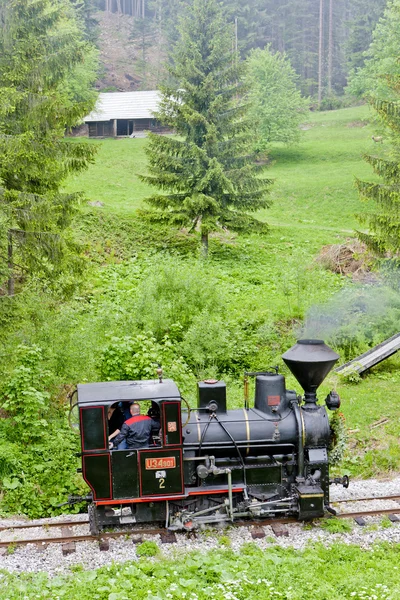 蒸汽机车，博物馆的 kysuce 村、 vychylovka、 斯洛伐克 — 图库照片