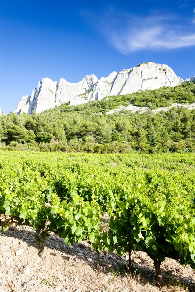 Виноградники возле Гигондаса в Коль-дю-Кайрон, Прованс — стоковое фото