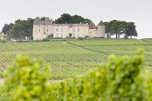 Winnica i chateau d'yquem, sauternes regionu, Francja — Zdjęcie stockowe
