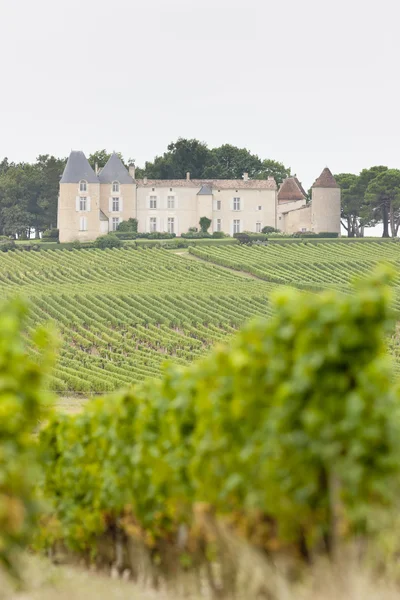 ブドウ畑とシャトーは d ' ディケム、ソーテルヌ地域フランス — ストック写真