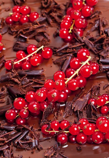 Rote Johannisbeere mit Schokolade — Stockfoto
