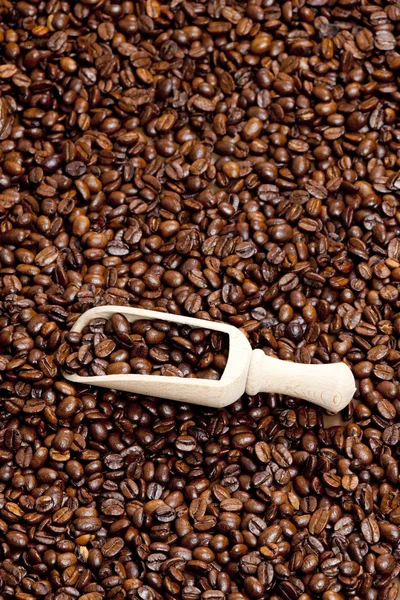 Натюрморт из кофейных зерен — стоковое фото