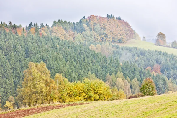 Осінній пейзаж, Чеська Республіка — стокове фото