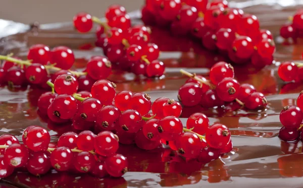 Fondue de ciocolată cu coacăze roșii — Fotografie, imagine de stoc
