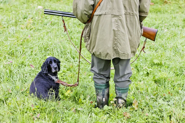 Perro de caza con cazador — Foto de Stock