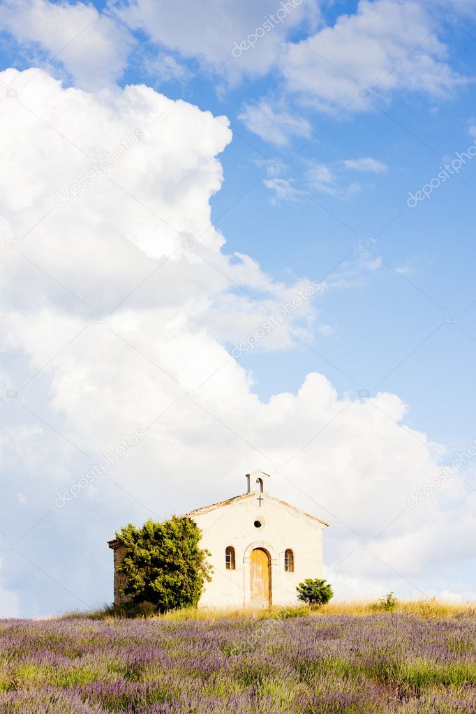 Chapel with lavender field, Plateau de Valensole, Provence, Fran