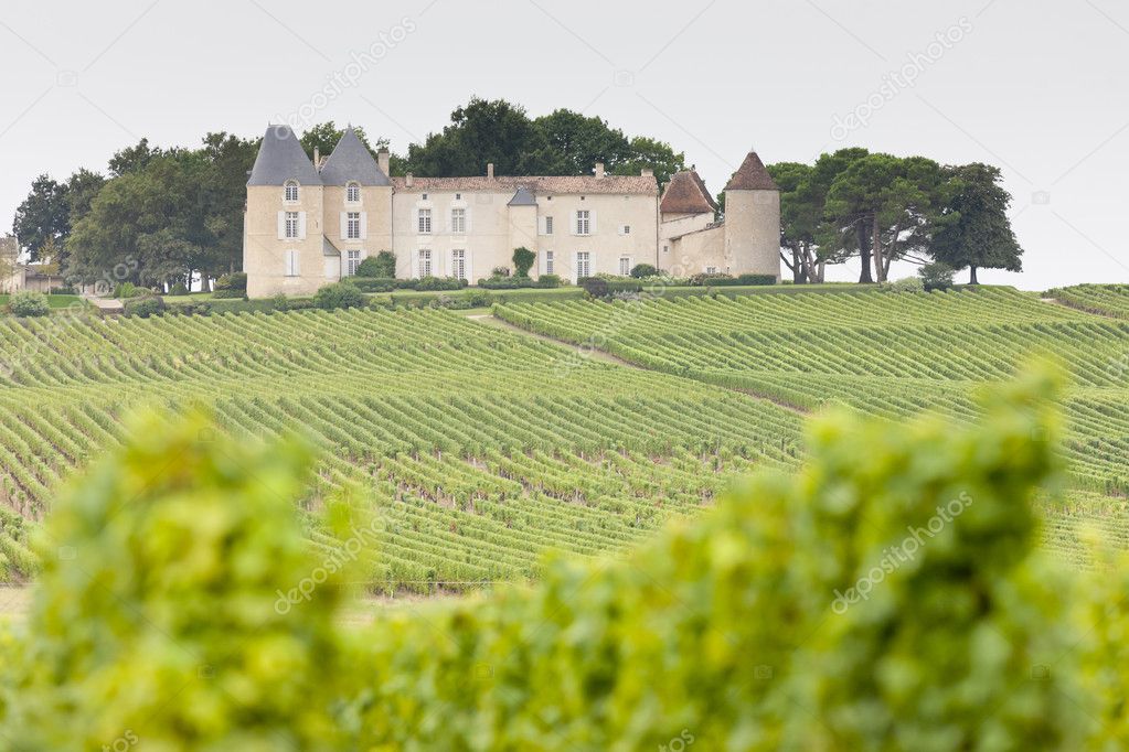 Vineyard and Chateau d'Yquem, Sauternes Region, France Stock Photo