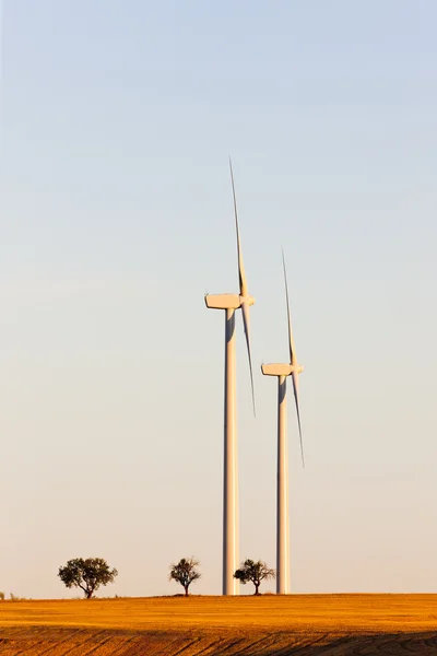 Vindkraft turbiner, Kastilien och leon, Spanien — Stockfoto